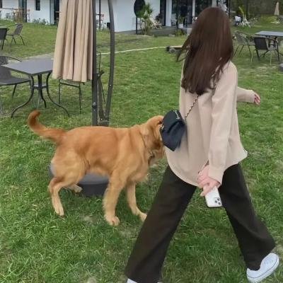 不爱不散